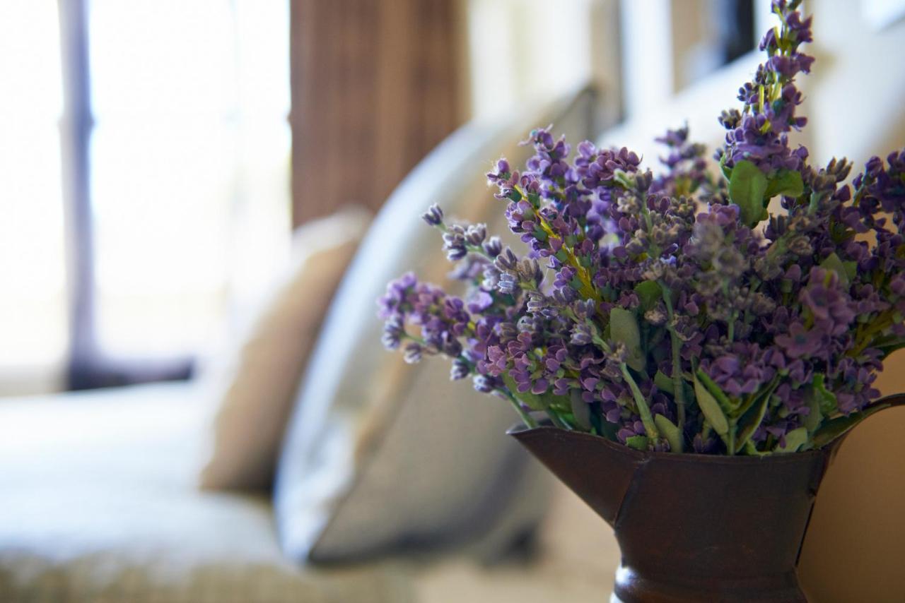 Cambridge Cottage - Self Catering Holiday House Exteriér fotografie